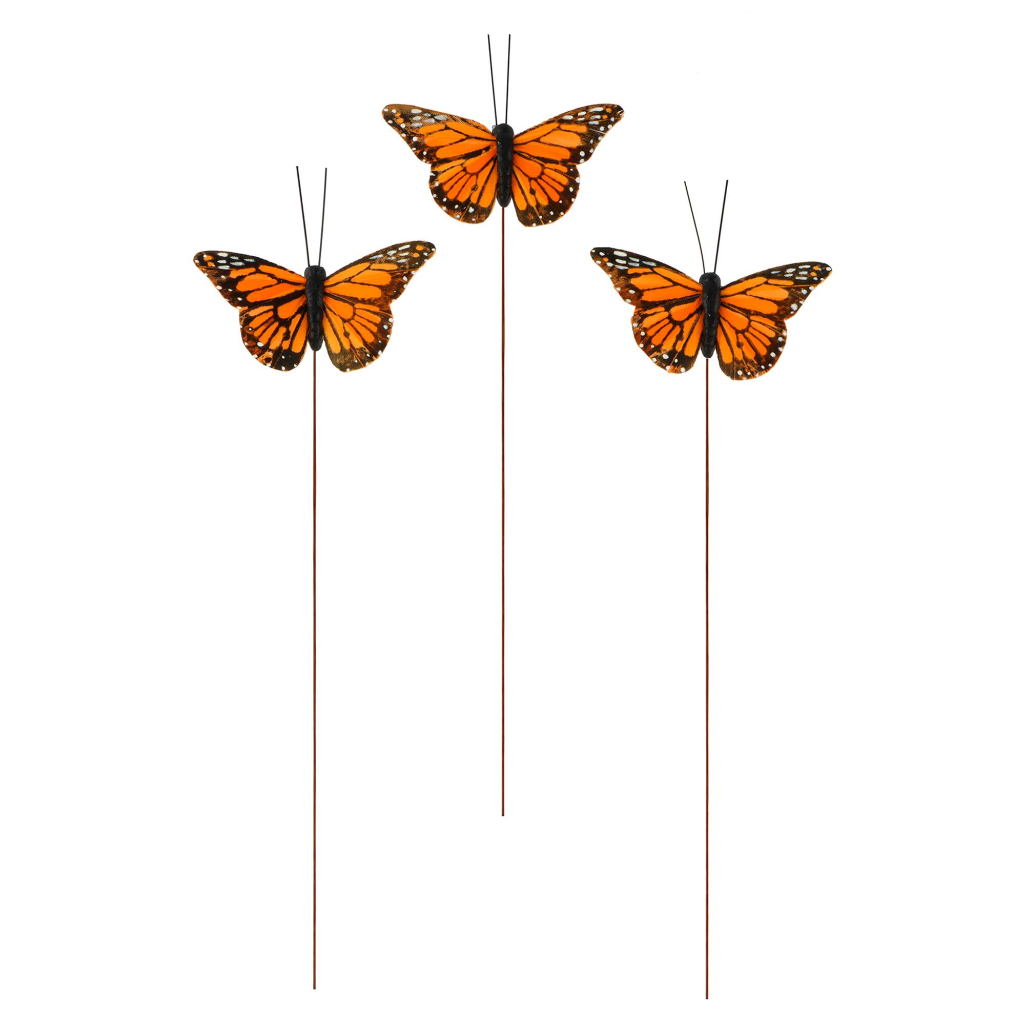 Orange Monarch Butterflies
